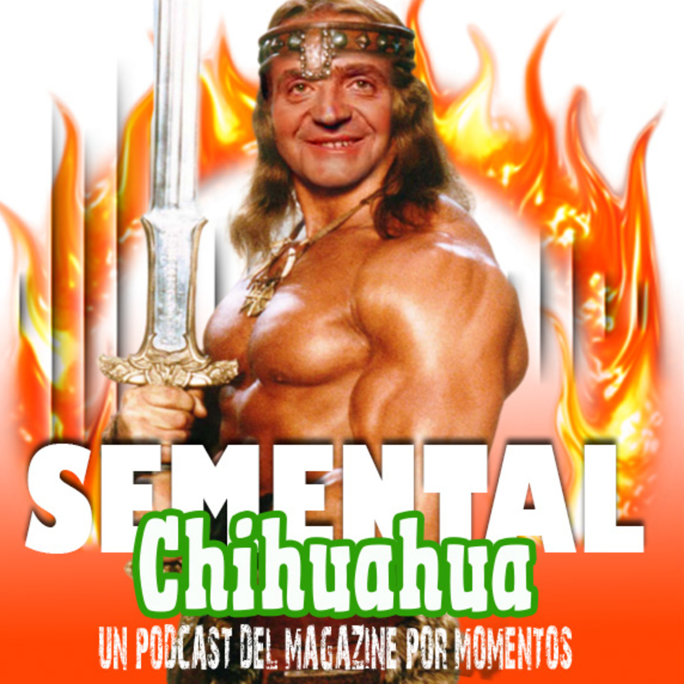 Semental Chihuahua