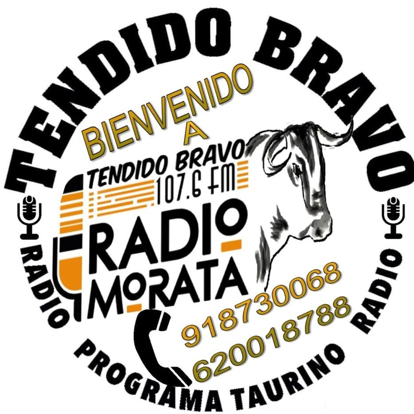 TENDIDO BRAVO