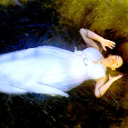 embed image