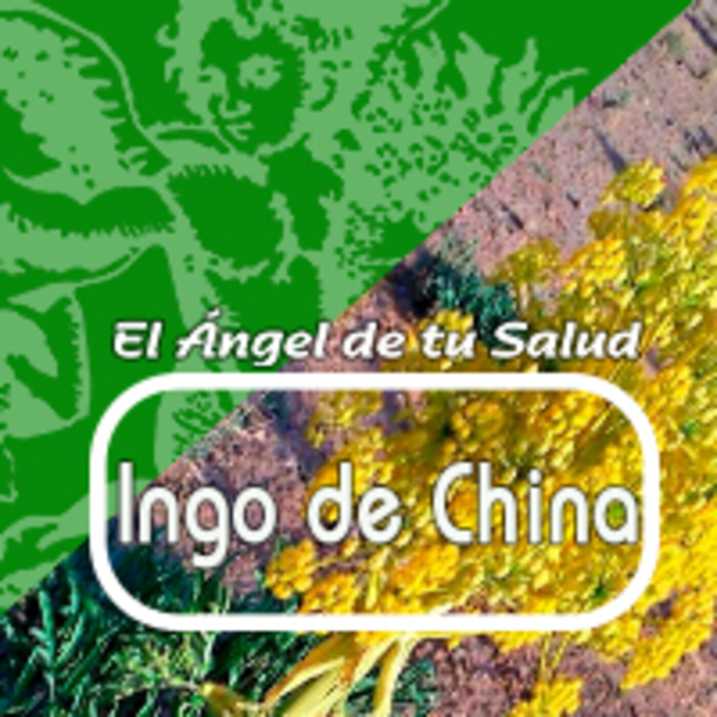 El Angel de tu Salud - INGO DE CHINA* episode artwork