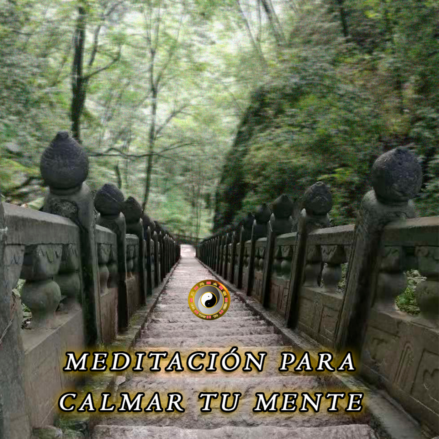 Meditación y Reflexión con Pedro Valencia