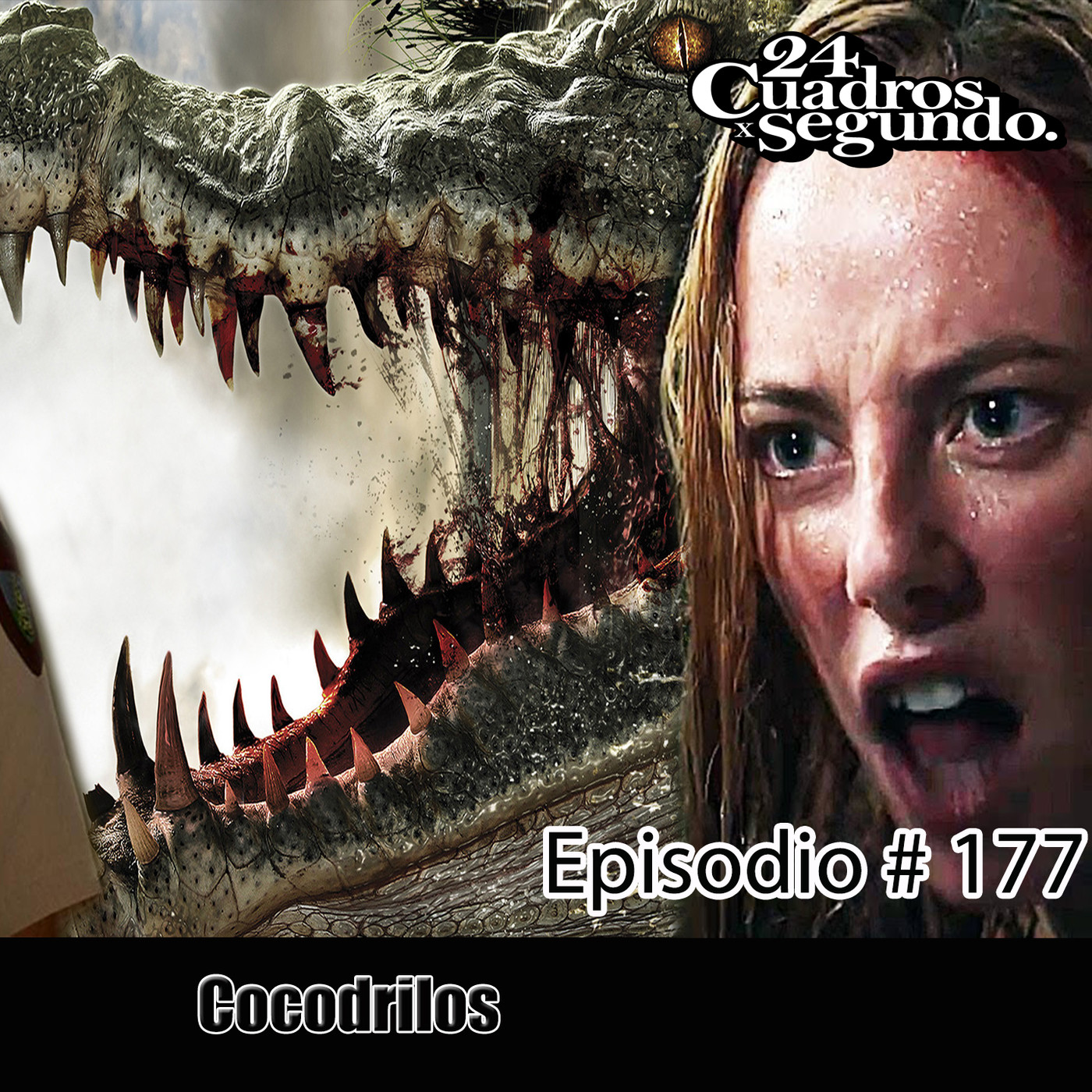 24 Cuadros por Segundo