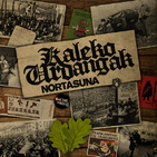 embed image