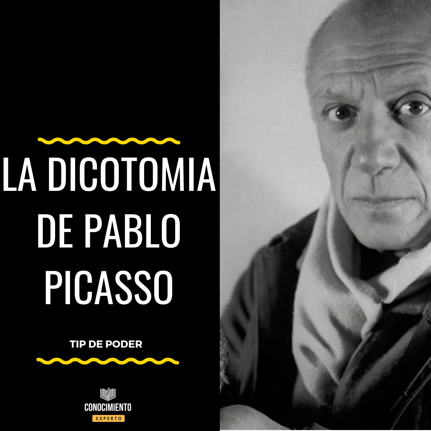 La Dicotomía de Pablo Picasso - Tip de Poder episode artwork