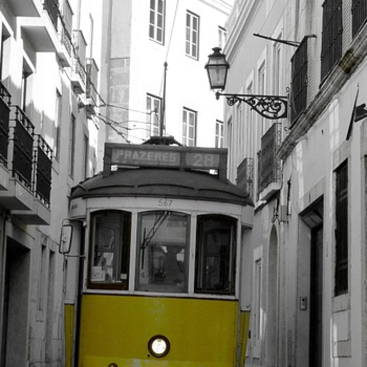 Entradas blog Osoa Accion Integral