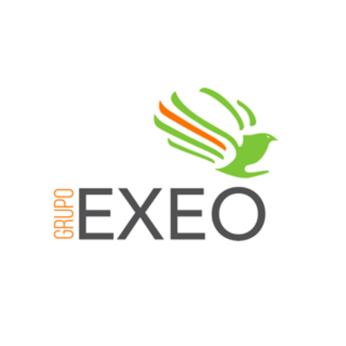 GRUPO EXEO