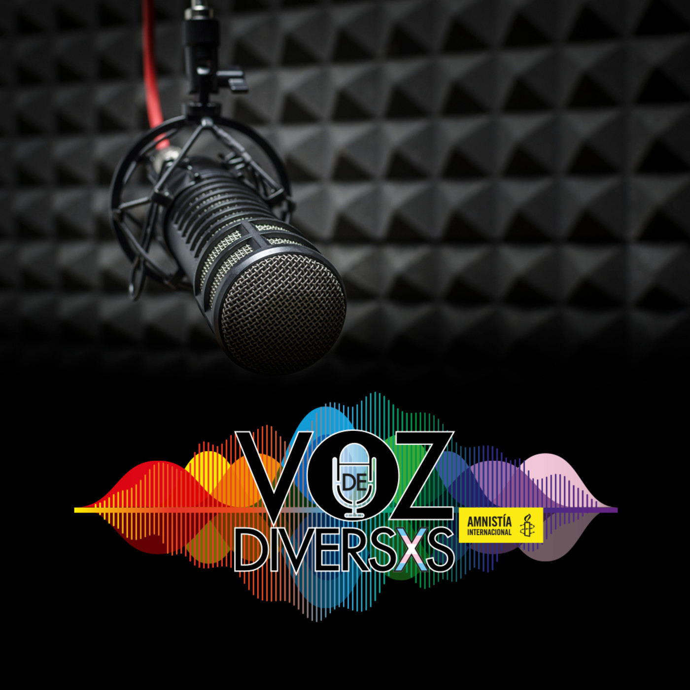 Voz de Diversxs