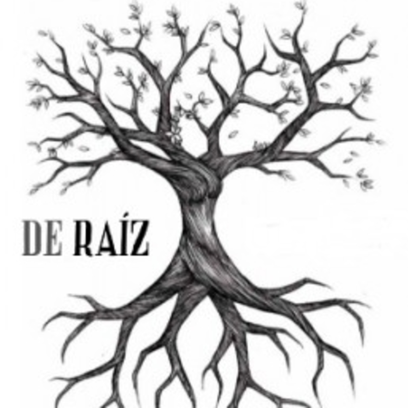 De Raíz Programa Especial de Verano #5 episode artwork