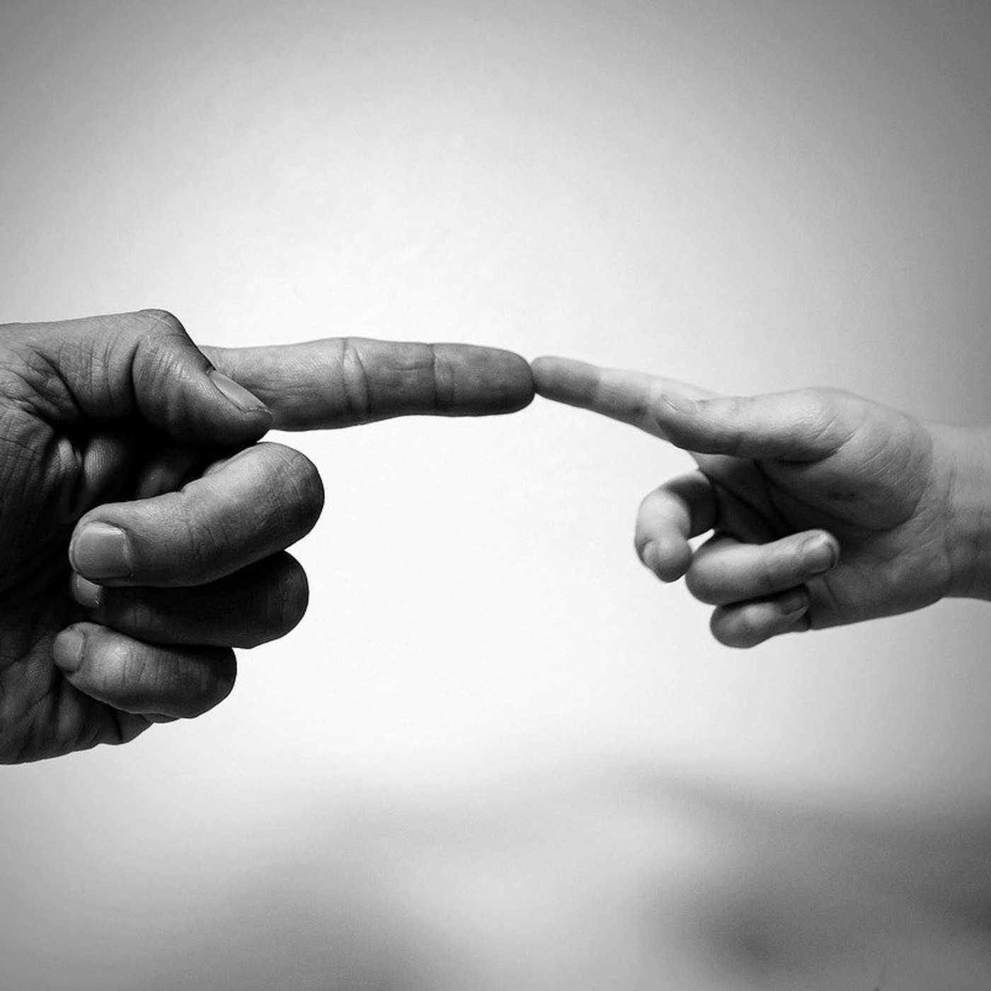 Sobre la crisis actual. Lorenzo Trujillo