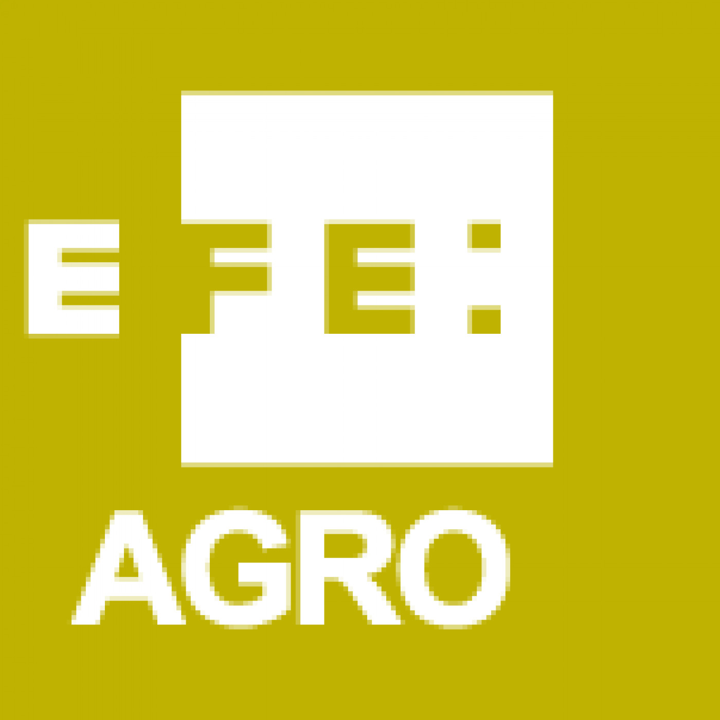 Informativo de Efeagro