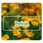 El Angel de tu Salud - PERICÓN**