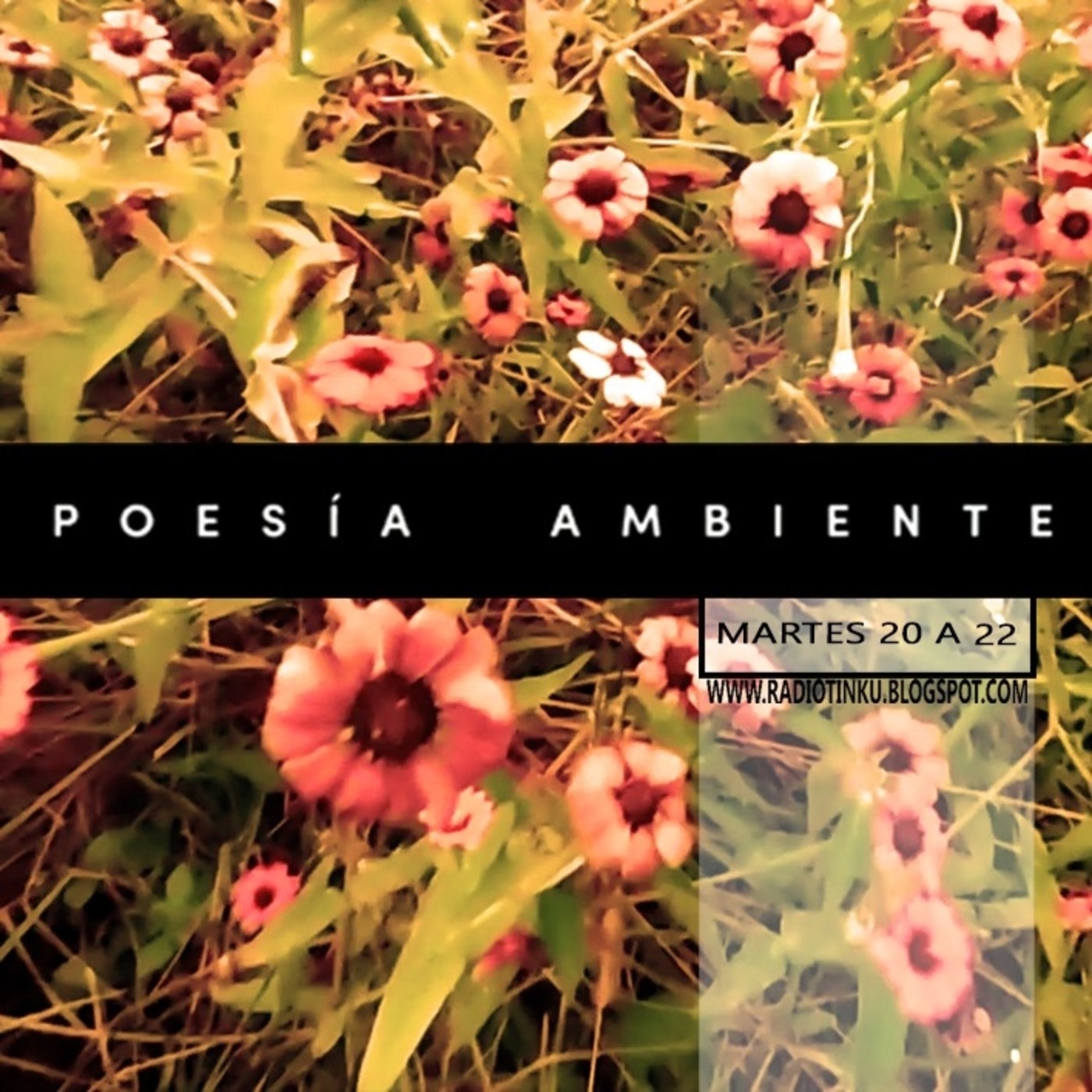 Poesía Ambiente
