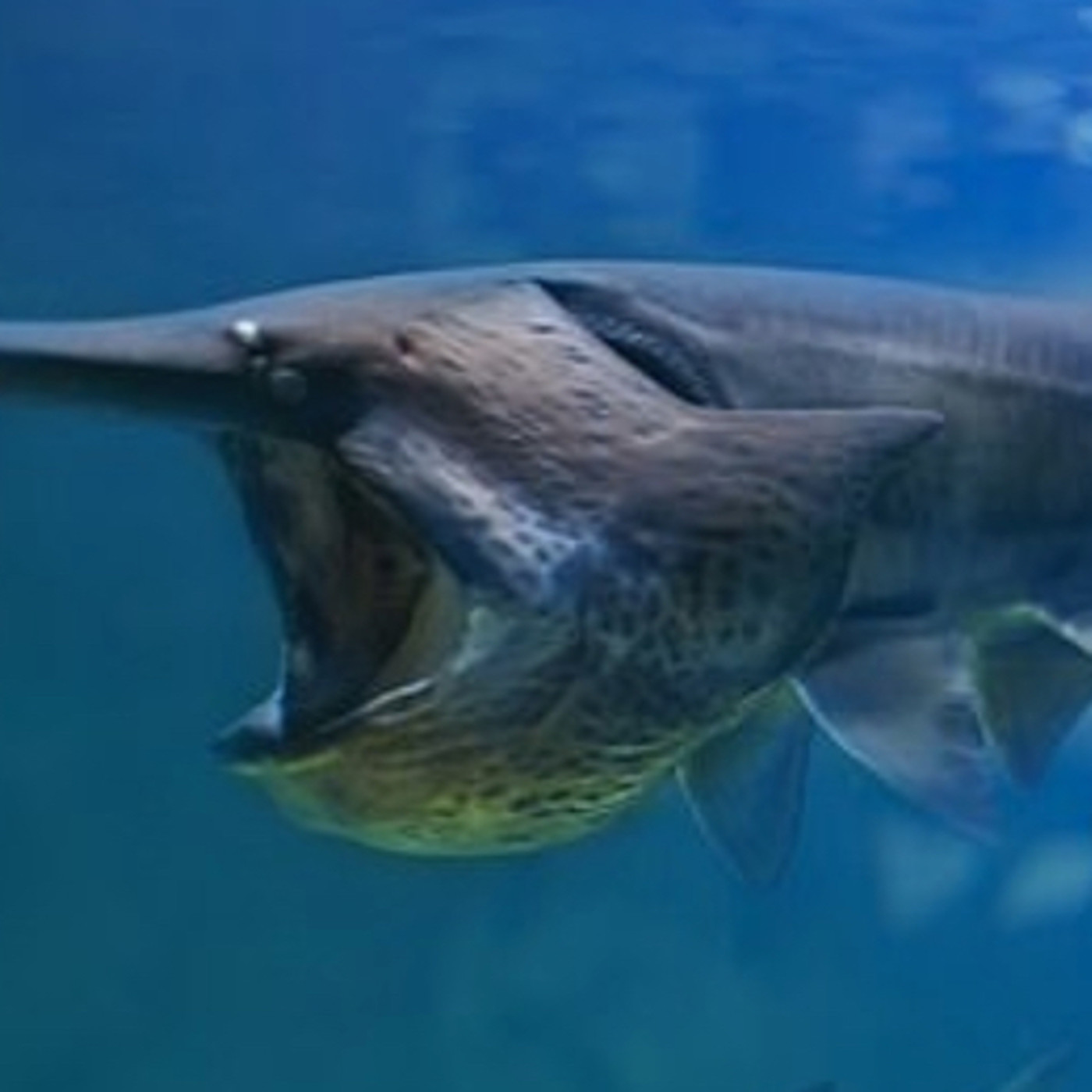 Reto 28 Dias 28 Sonidos IESGAHerrera