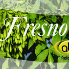 El Ángel de tu Salud - FRESNO