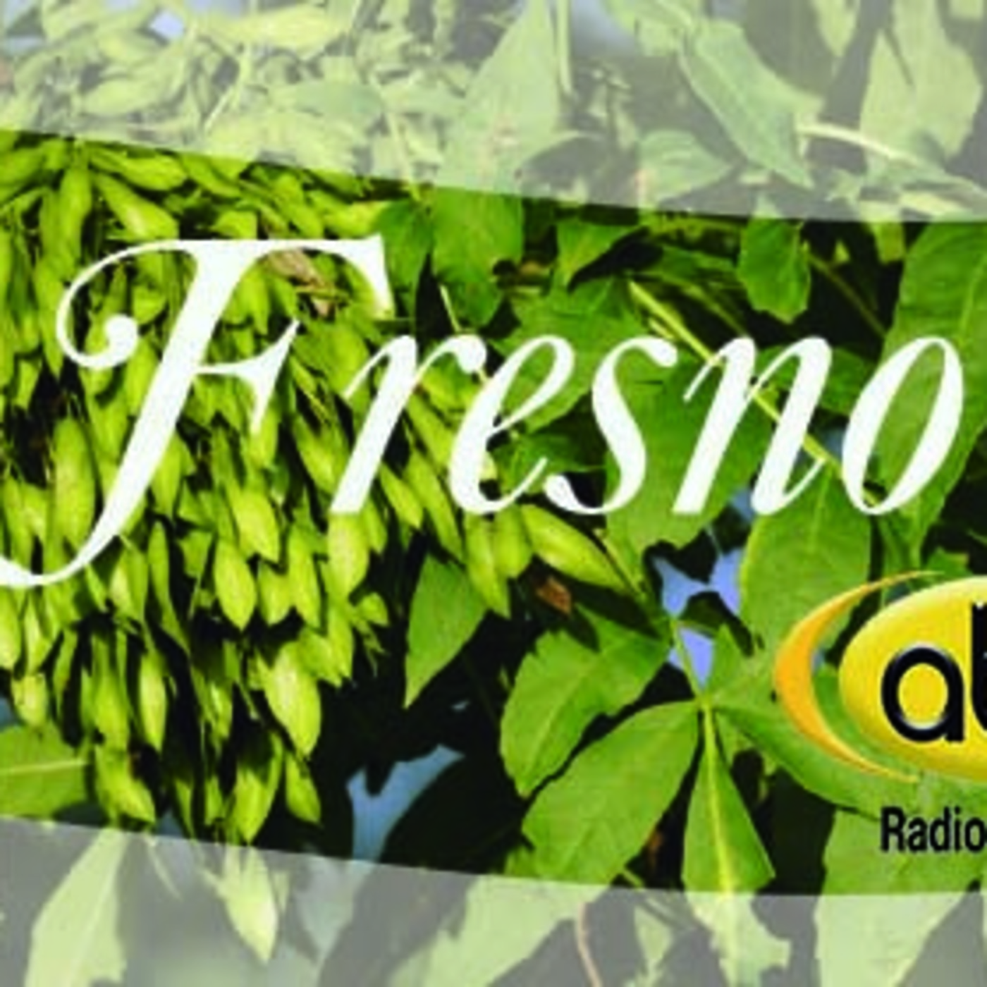El Ángel de tu Salud - FRESNO episode artwork