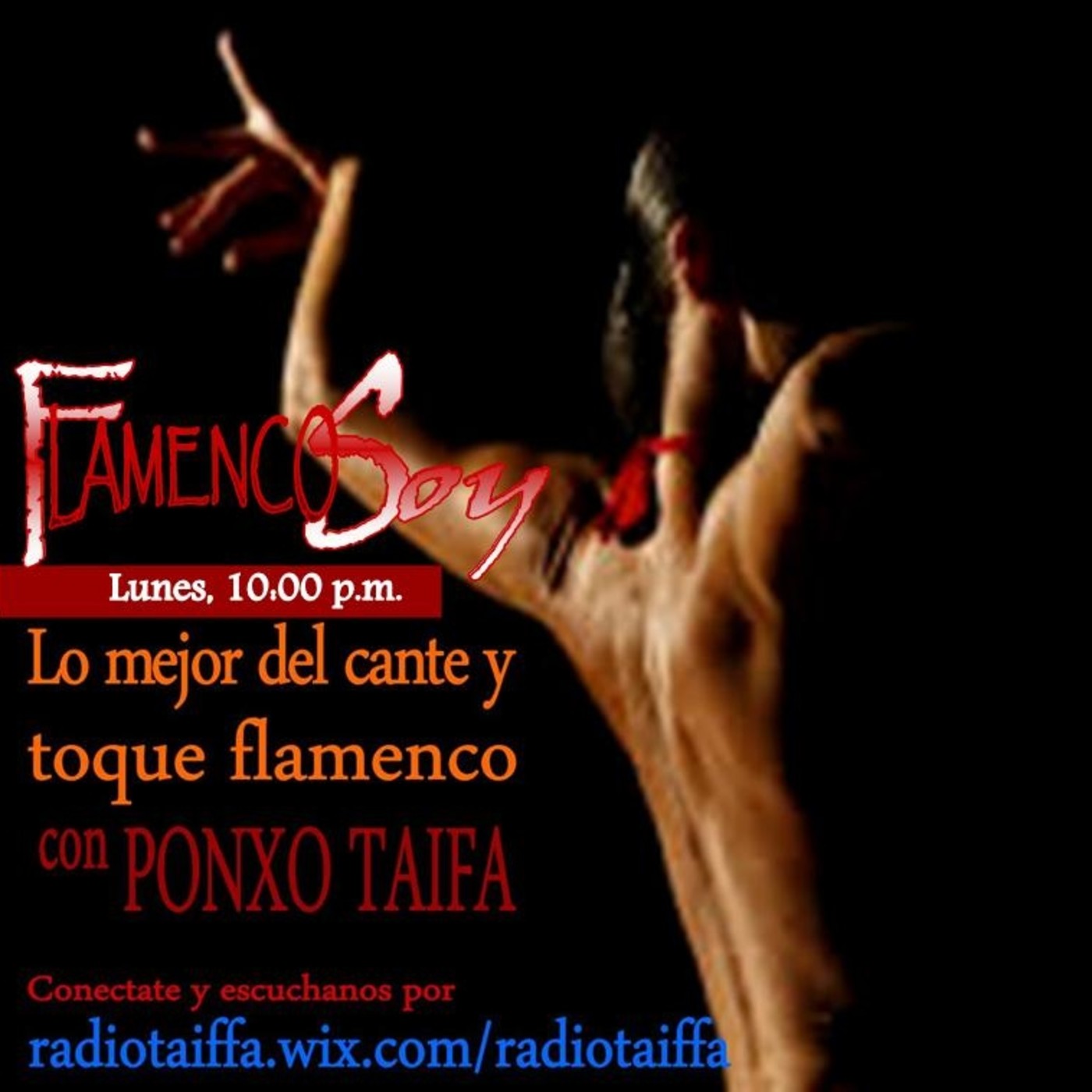 FLAMENCO SOY
