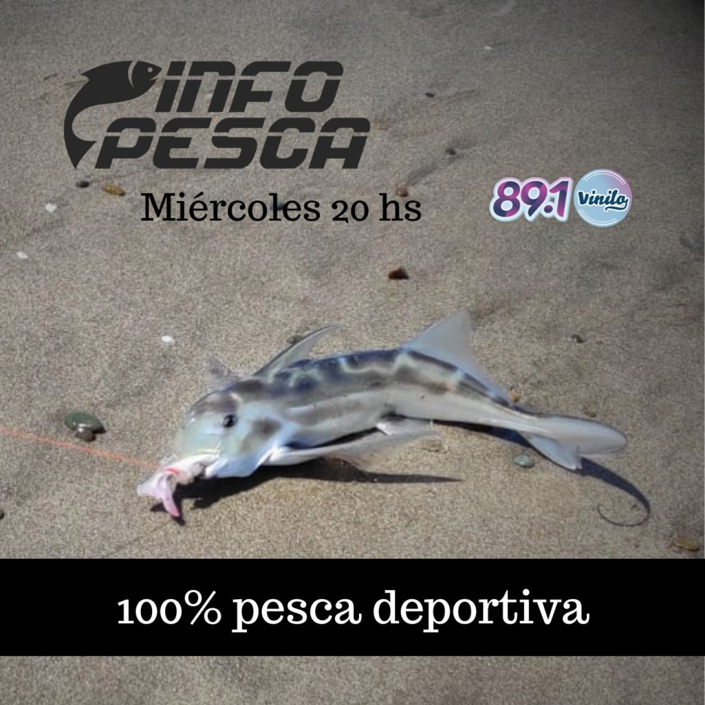 INFOPESCA MDQ