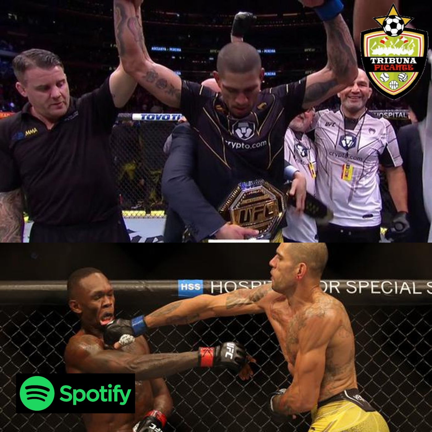 Análisis del UFC 281