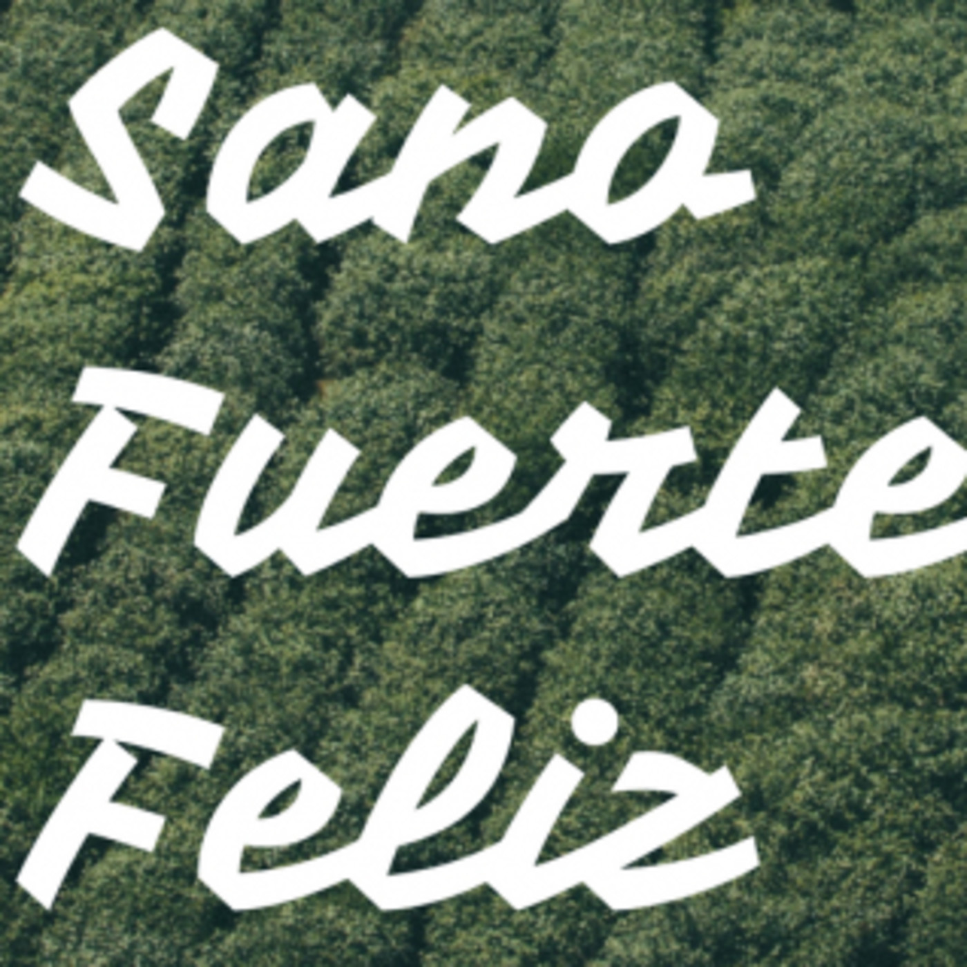#1 SANO FUERTE FELIZ Introduccion del podcast y presentaciones