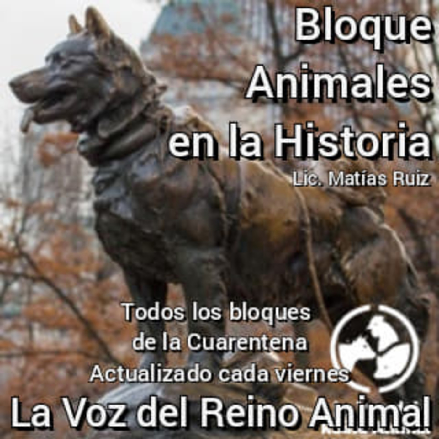 #BloqueAnimalesEnLaHistoria Historia del #Gato episode artwork