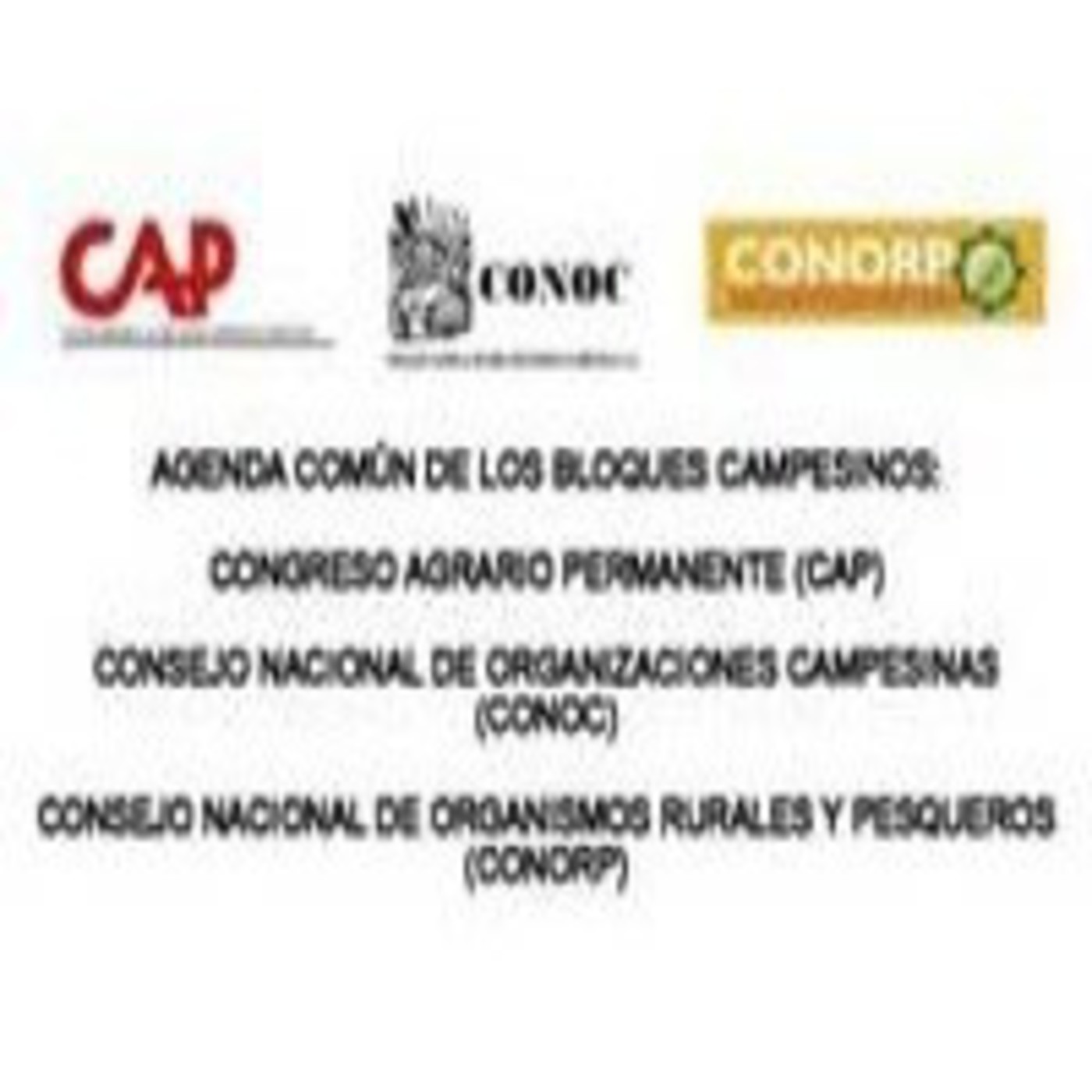 ANEC MEXICO