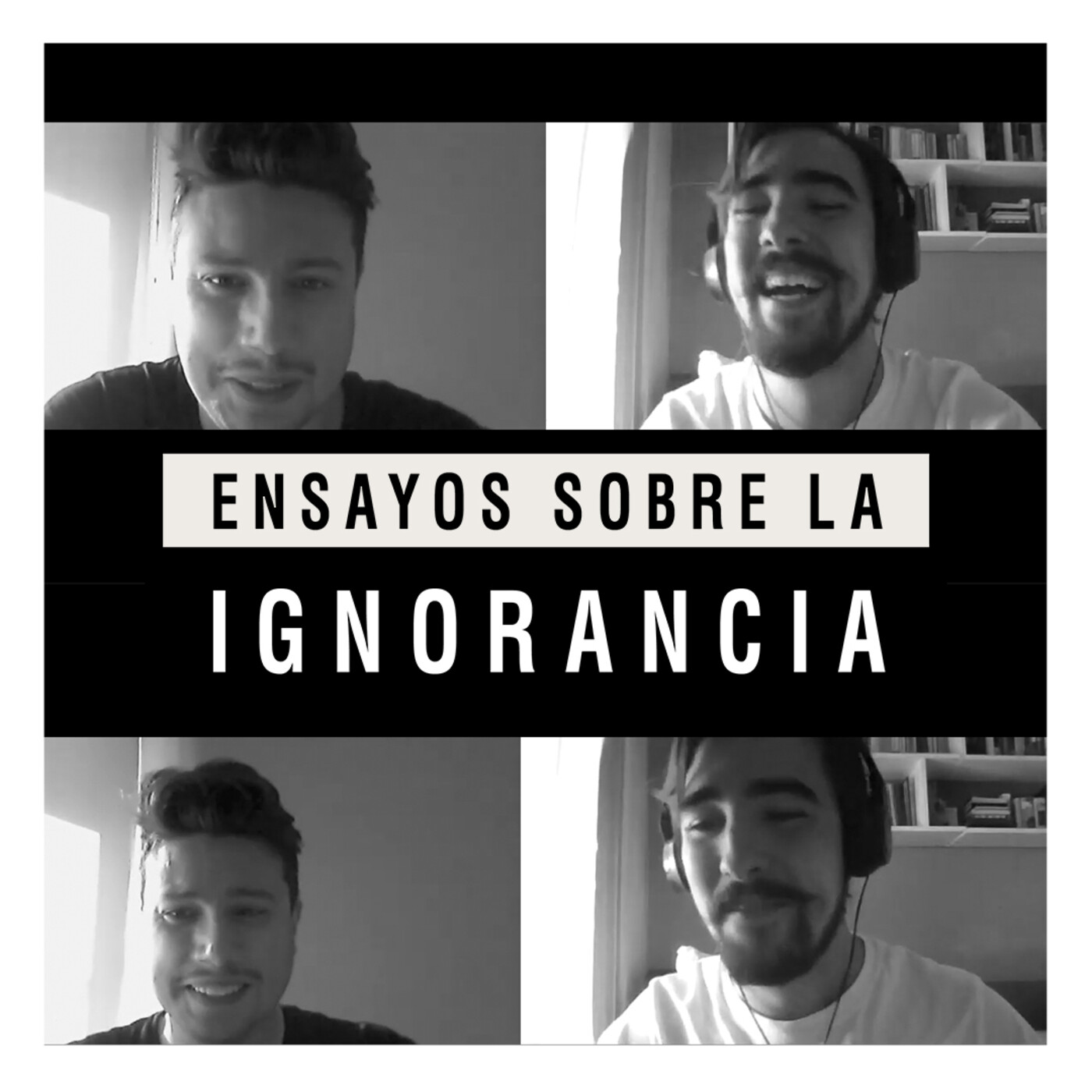 Ensayos sobre la ignorancia