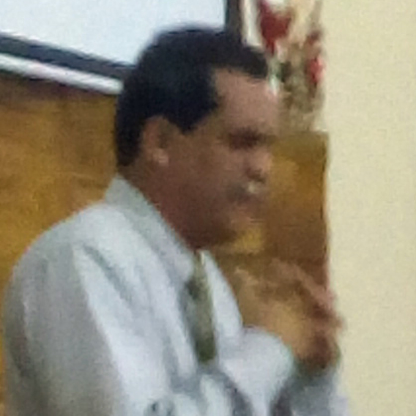 Sermones IBR
