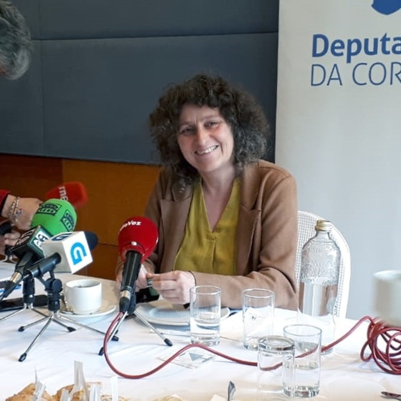 Actividade do BNG na Deputación Provincial da Coru