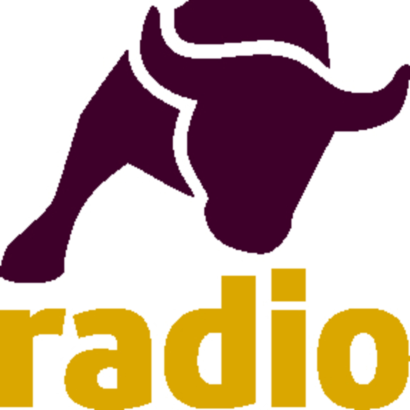 Otras colaboraciones en radio