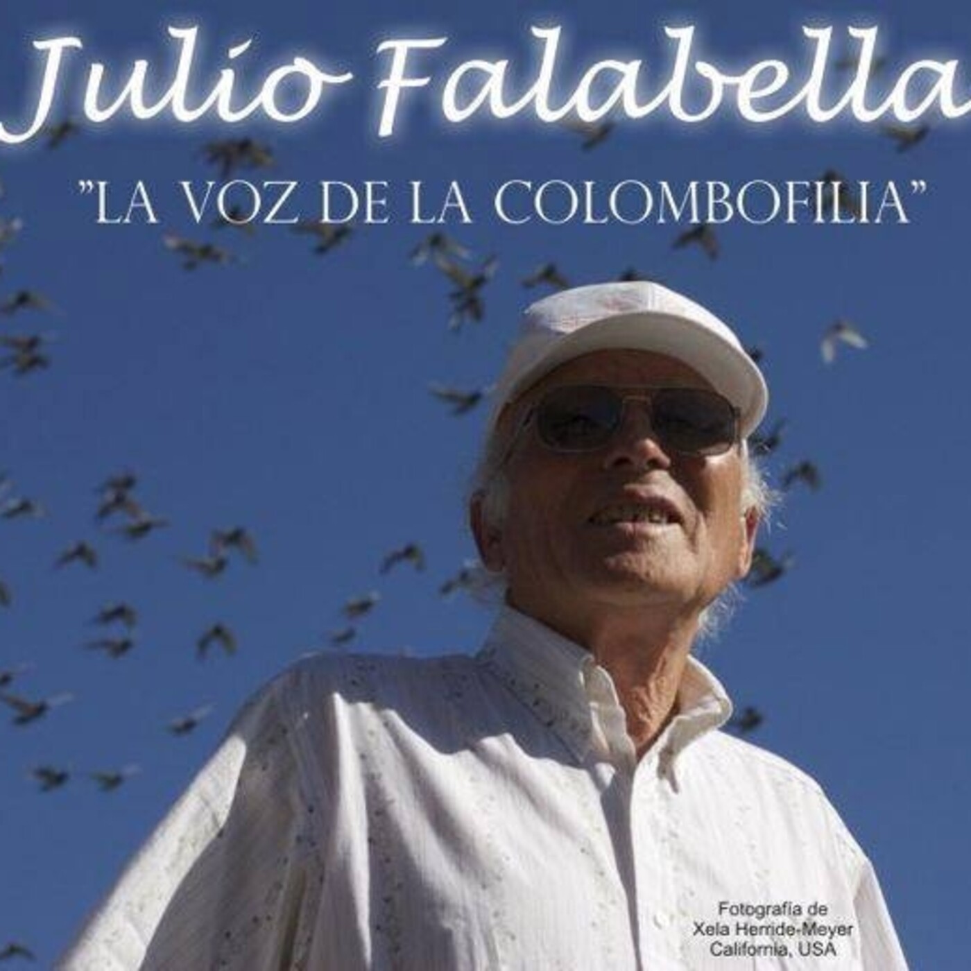 Conociendo La Paloma Mensajera