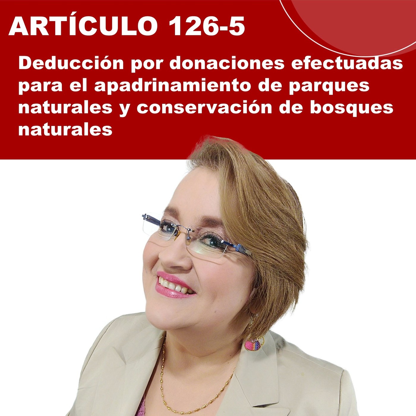 Audiolibro - Estatuto Tributario Nacional