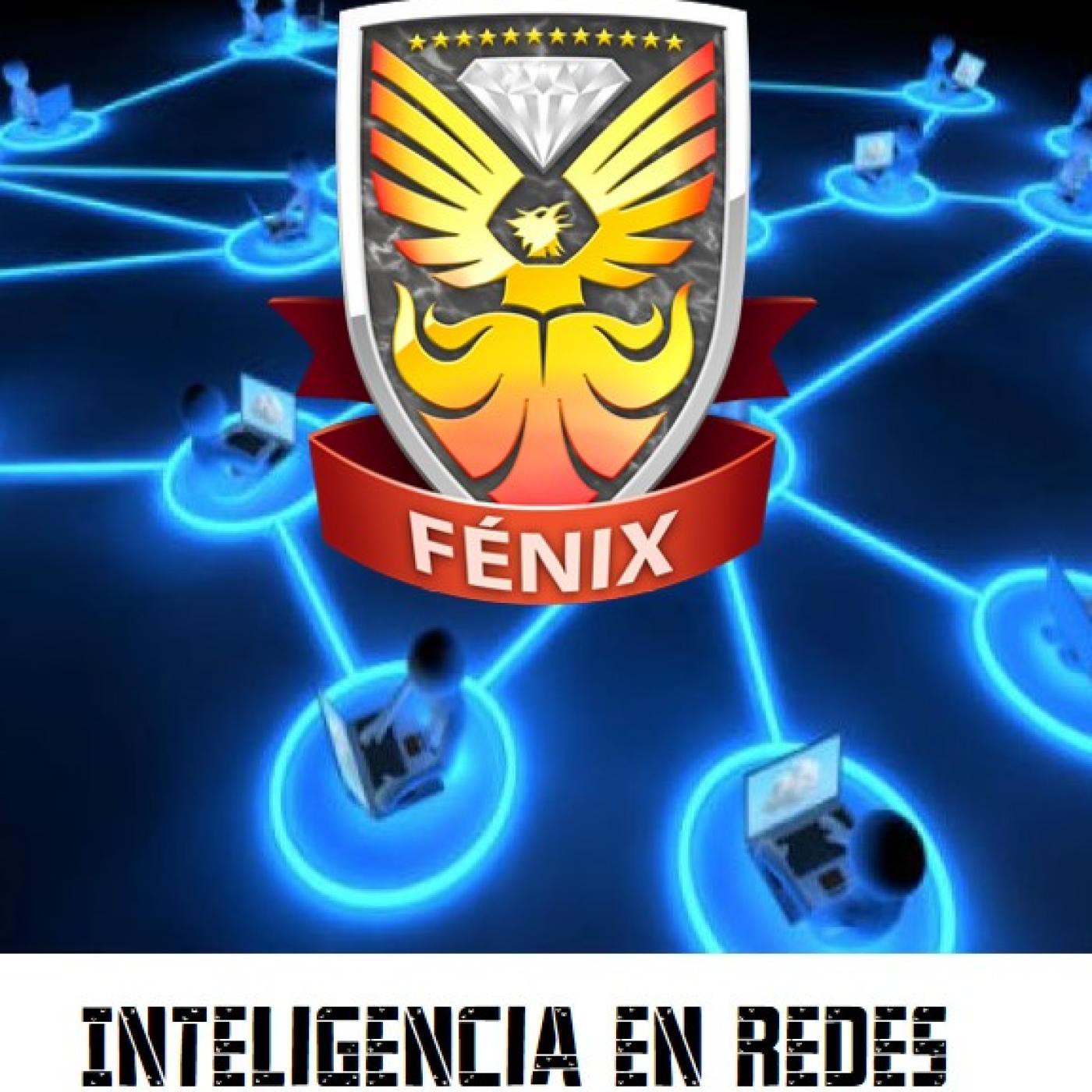 Inteligencia en redes