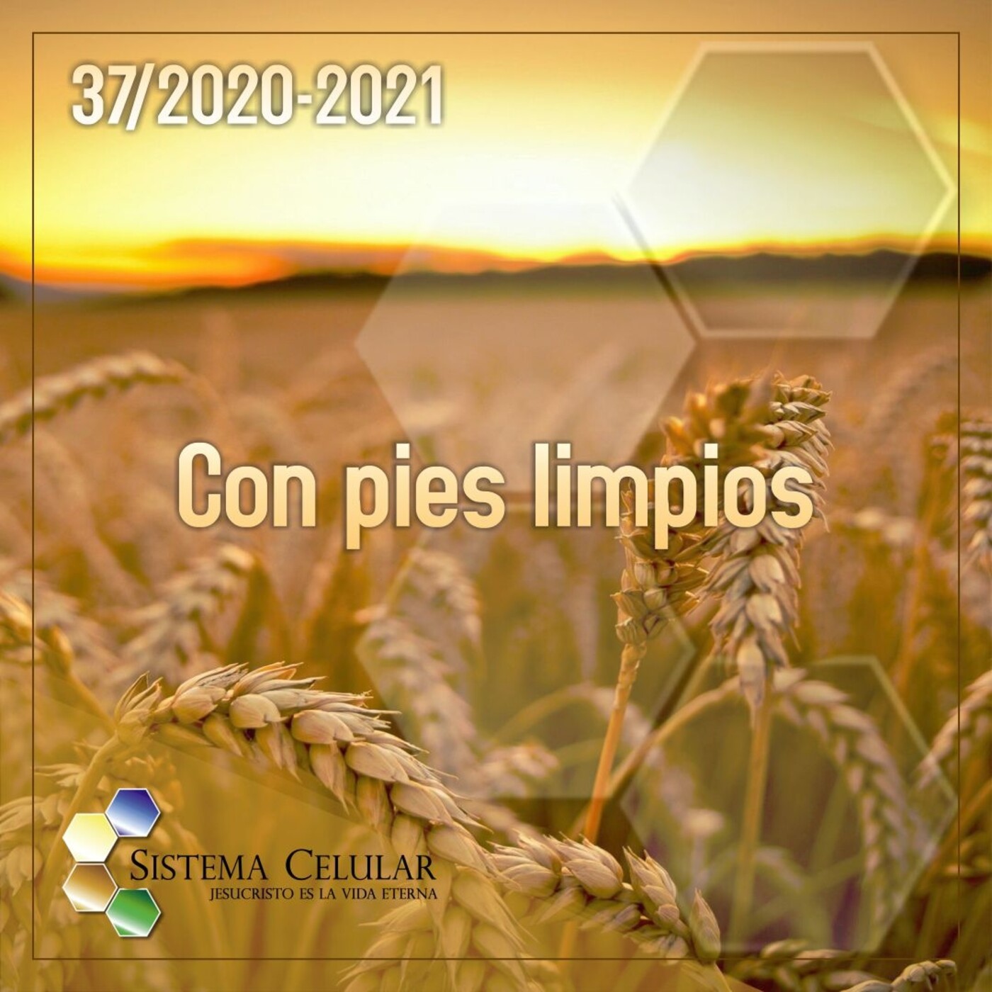 JVE Podcast · Mensajes del Sistema Celular