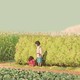 Lo-fi chillhop ghibli