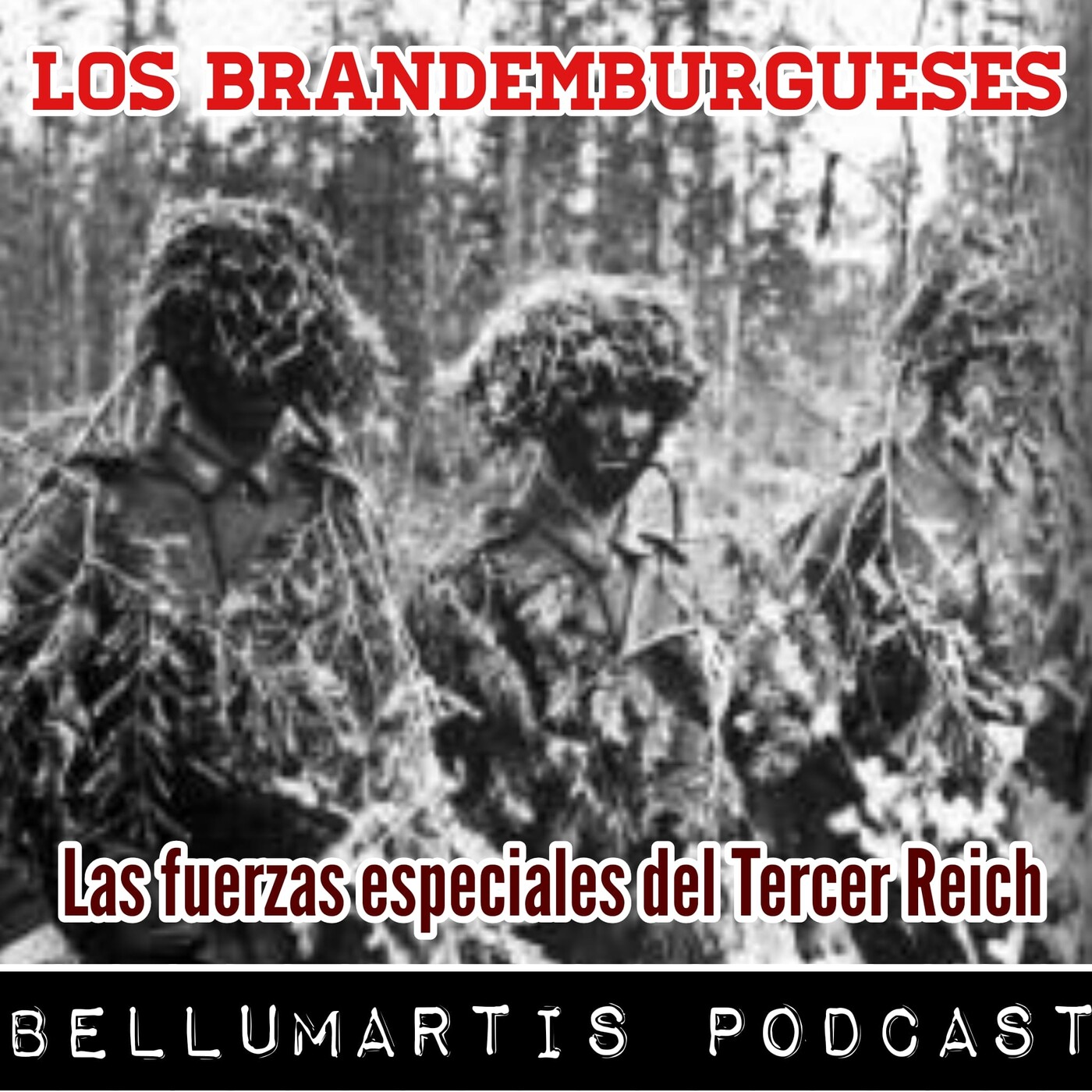 LOS BRANDEMBURGUESES, las fuerzas especiales del Tercer Reich **Juan Alcocer**