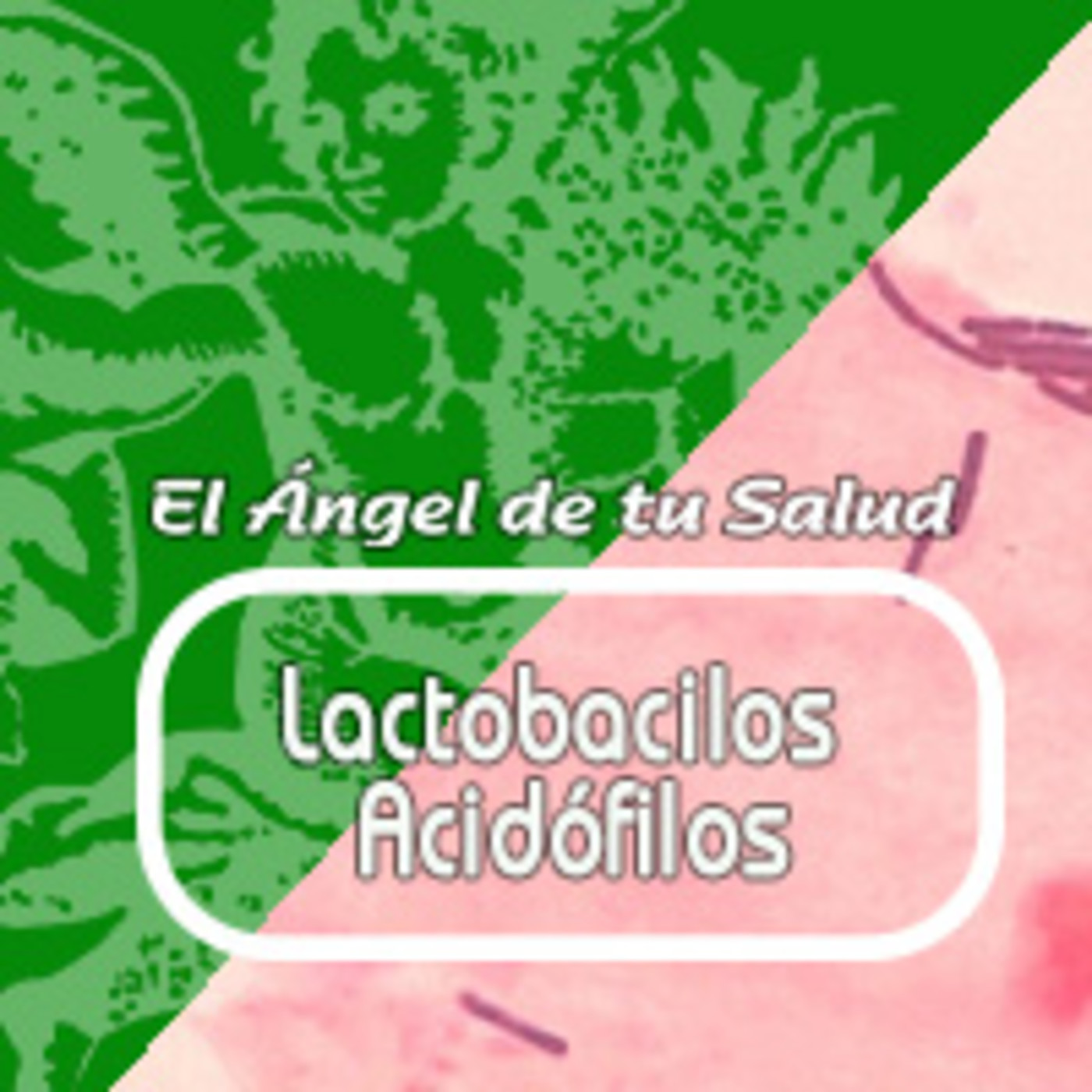 El Angel de tu Salud - LACTOBACILOS ACIDÓFILOS **** episode artwork
