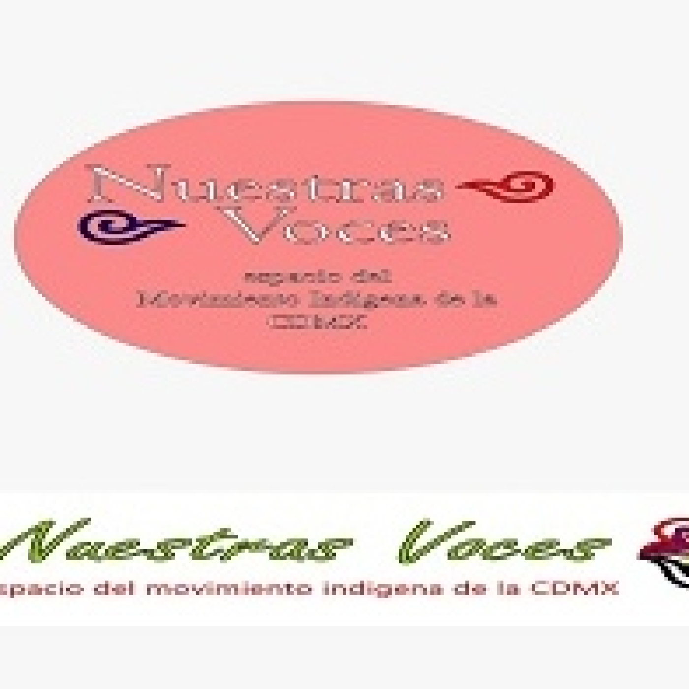 Nuestras Voces 18032026 p 390