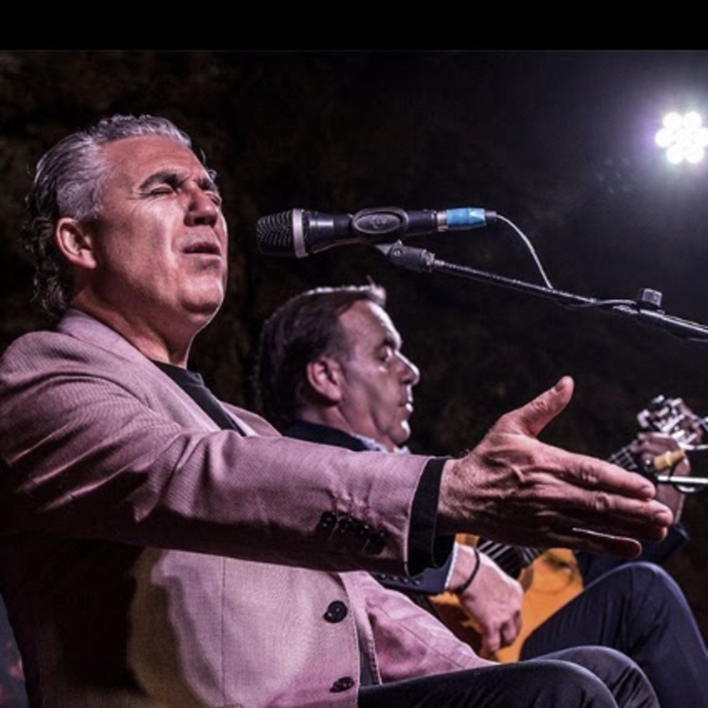 Peña Flamenca de Jaén