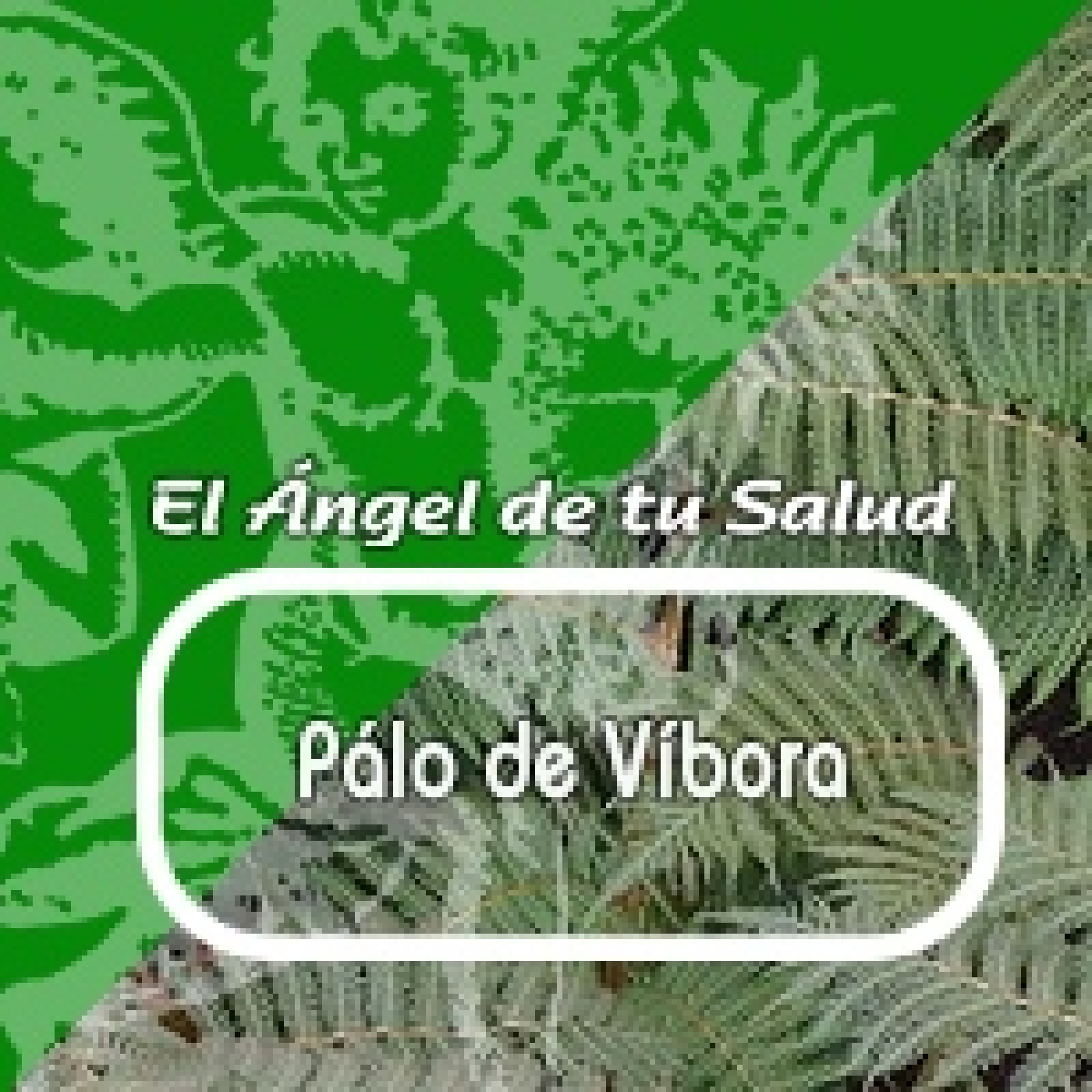 El Angel de tu Salud -PALO DE VÍBORA ***