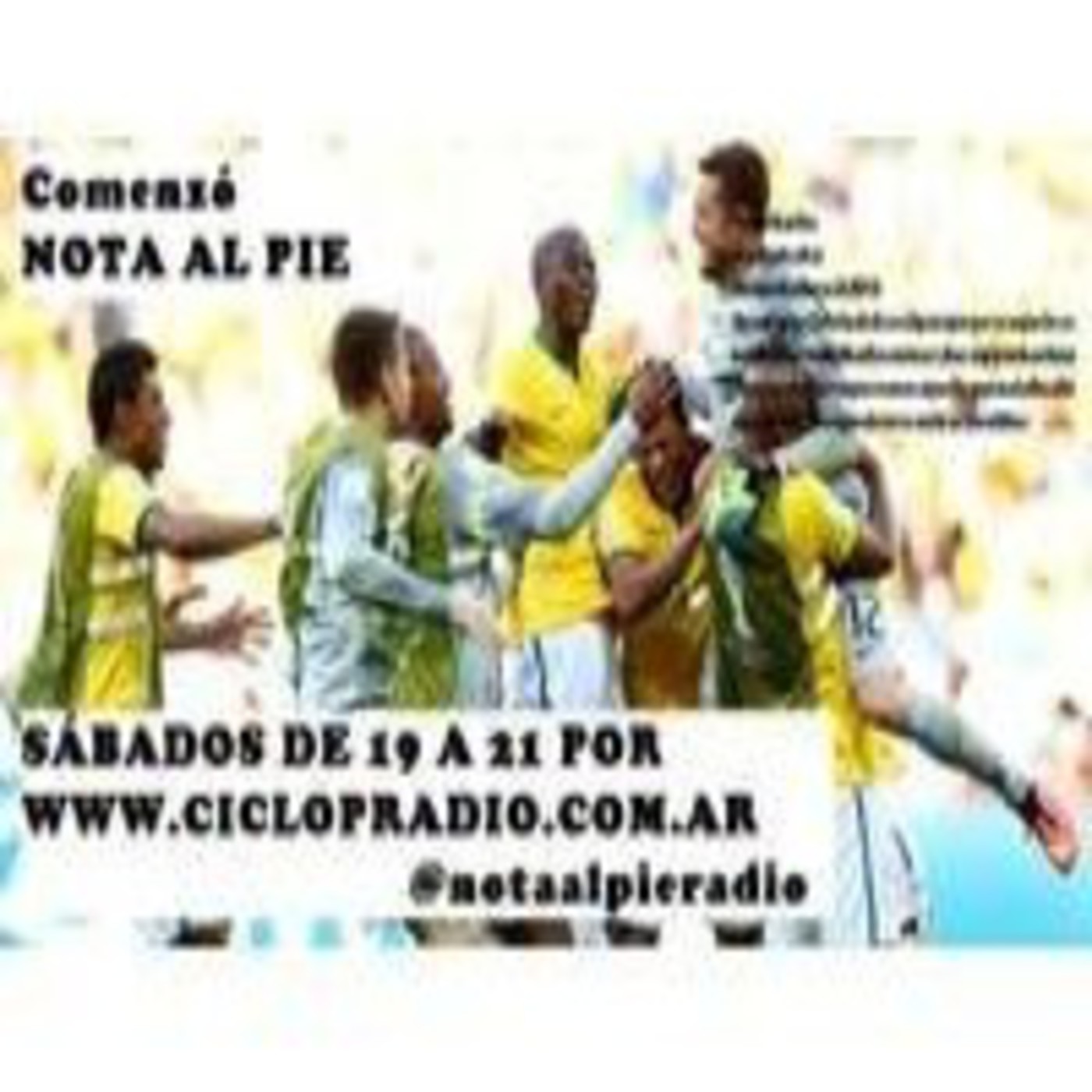 Programa del 28 de junio de 2014