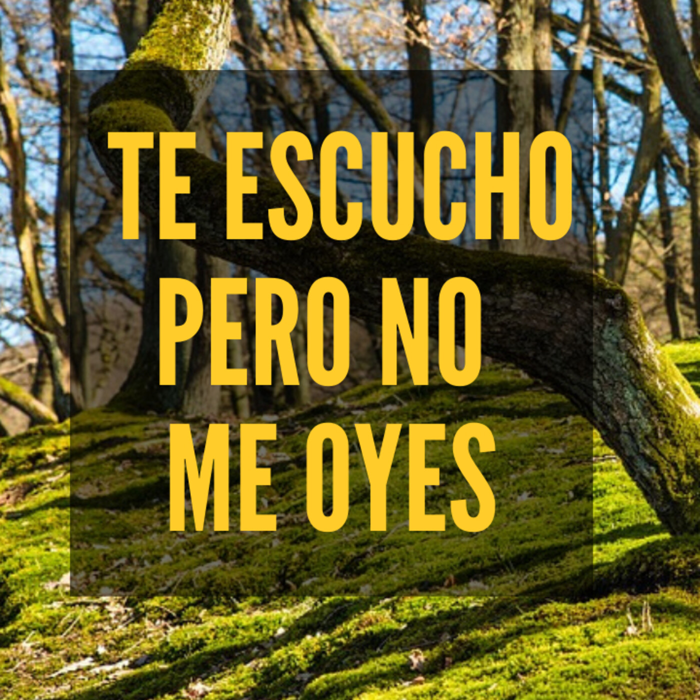 Despertar con Sentido