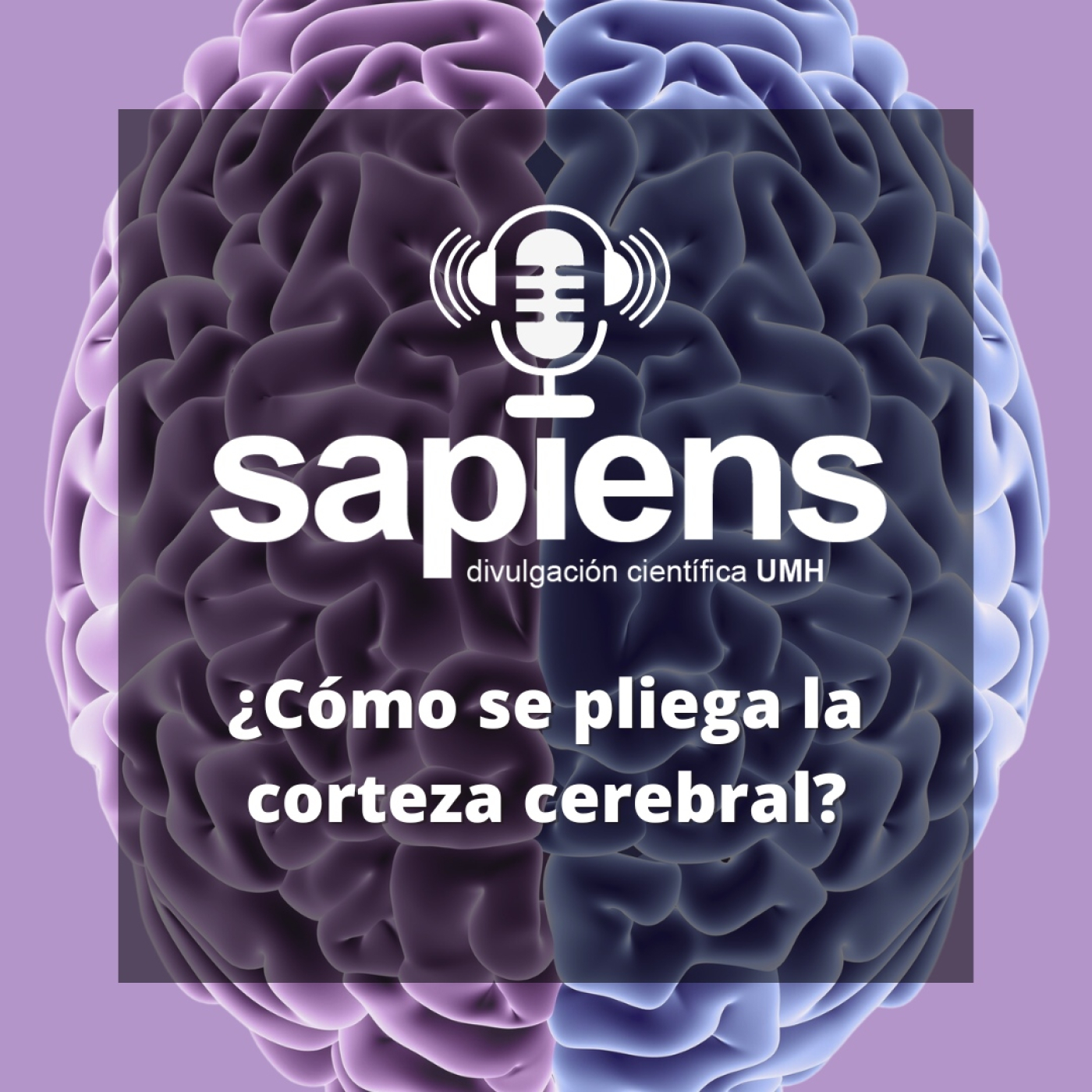 Entrevistas UMH Sapiens