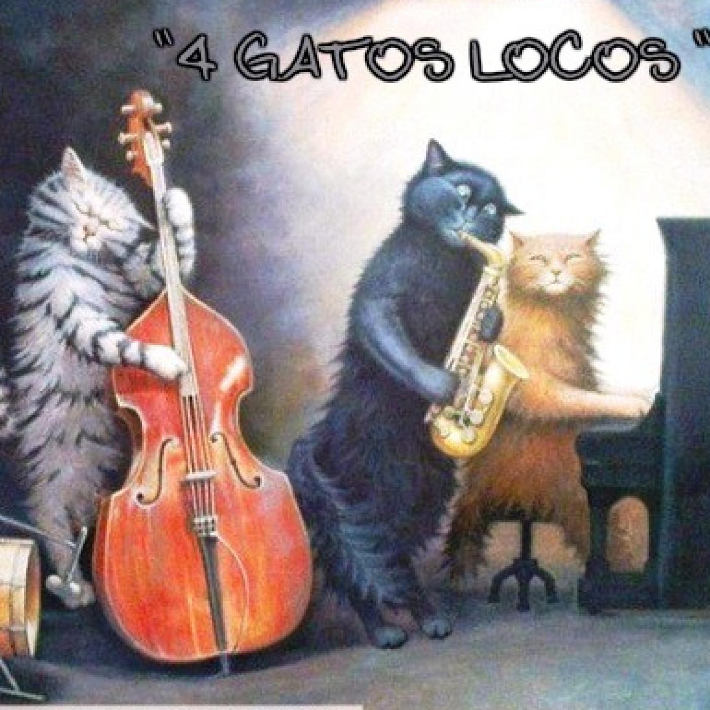 4 gatos locos