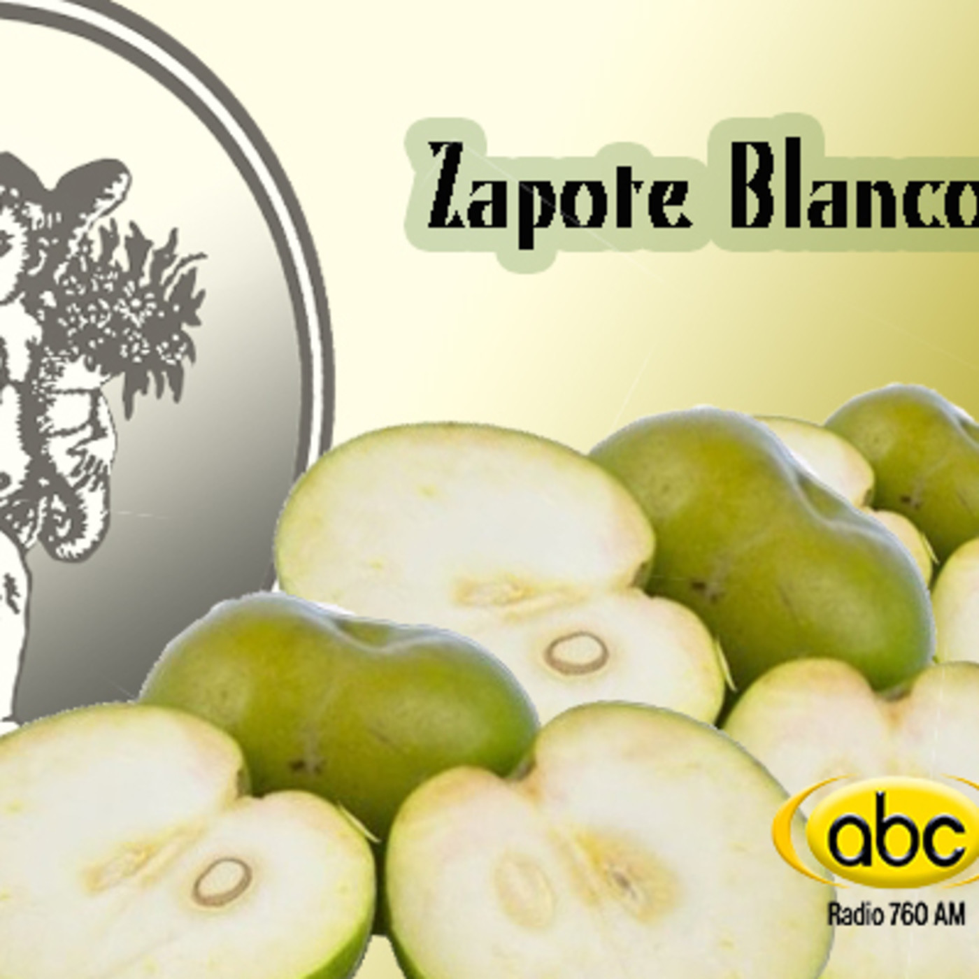 El Ángel de tu salud - ZAPOTE BLANCO episode artwork