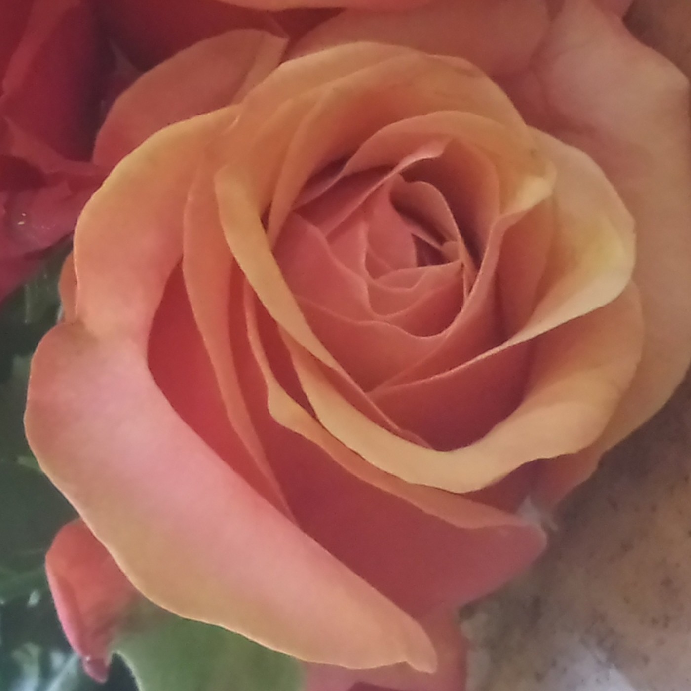 Nuestra Mente es Maravillosa