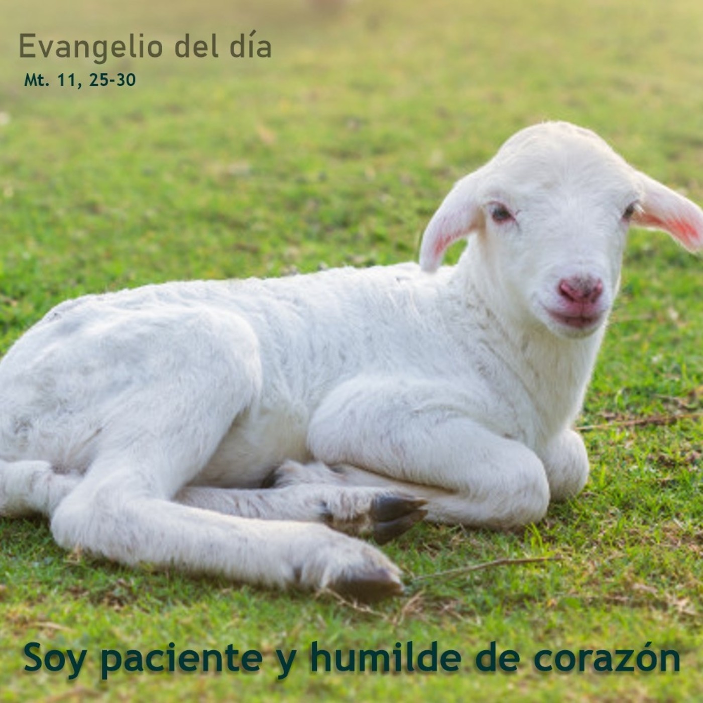5 de julio de 2020