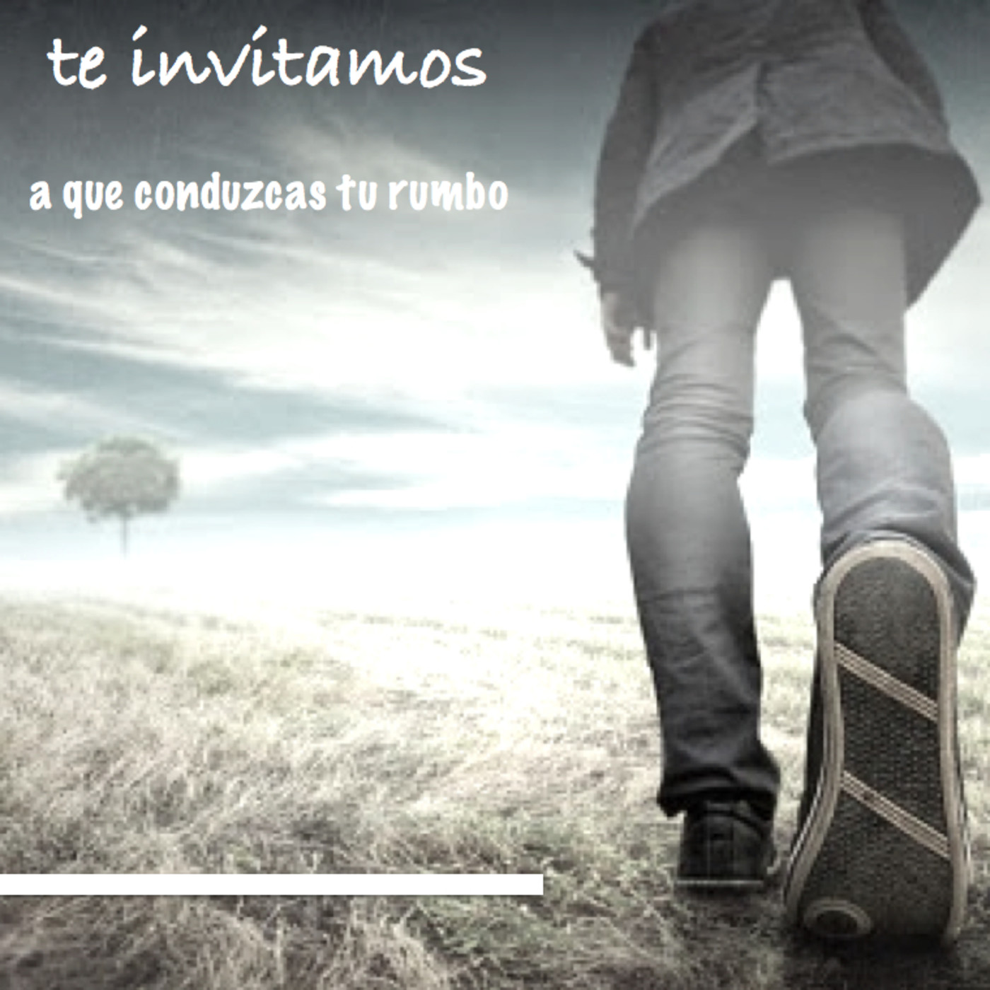 Descubre