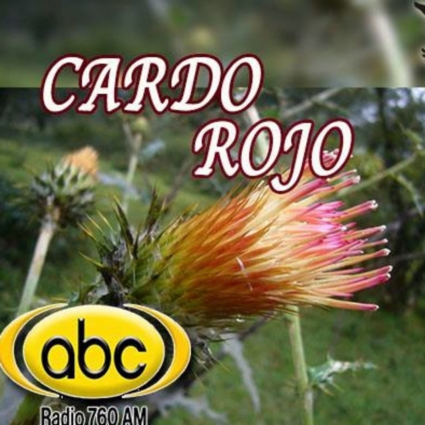 El Ángel de tu Salud - CARDO ROJO episode artwork