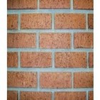 El muro