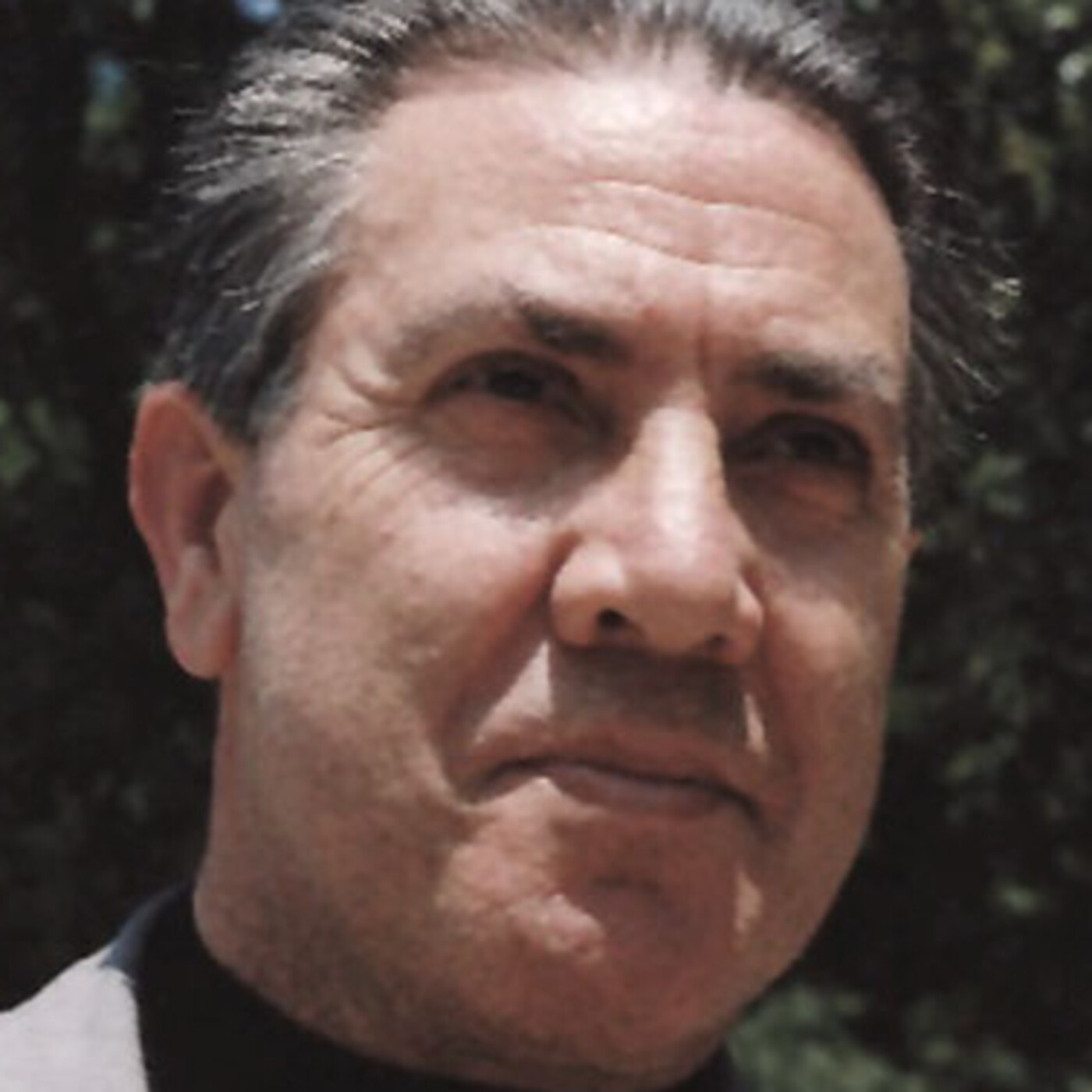 José Luis Martín Descalzo, Pájaro solitario 4